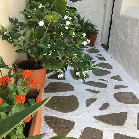 Appartamento Toula'S House 2 Ligoneri Esterno foto