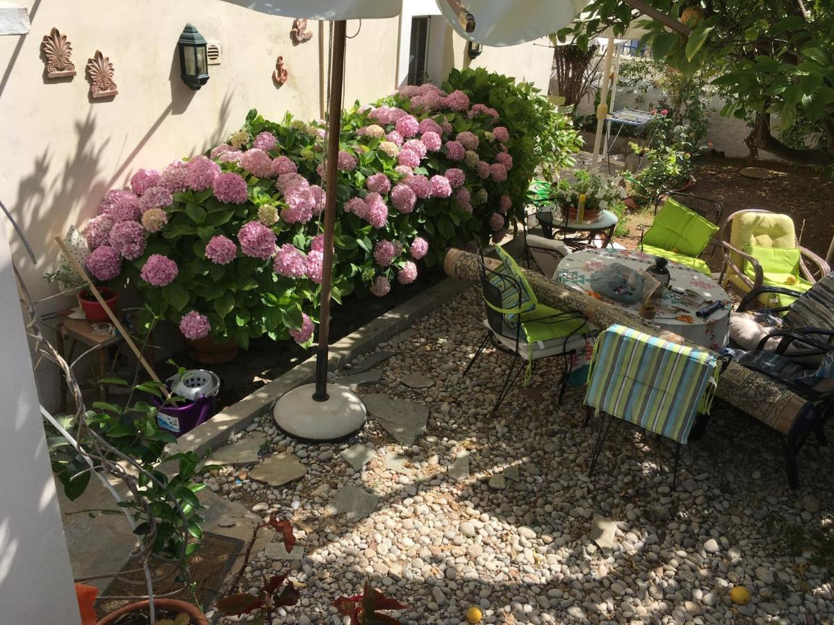 Appartamento Toula'S House 2 Ligoneri Esterno foto